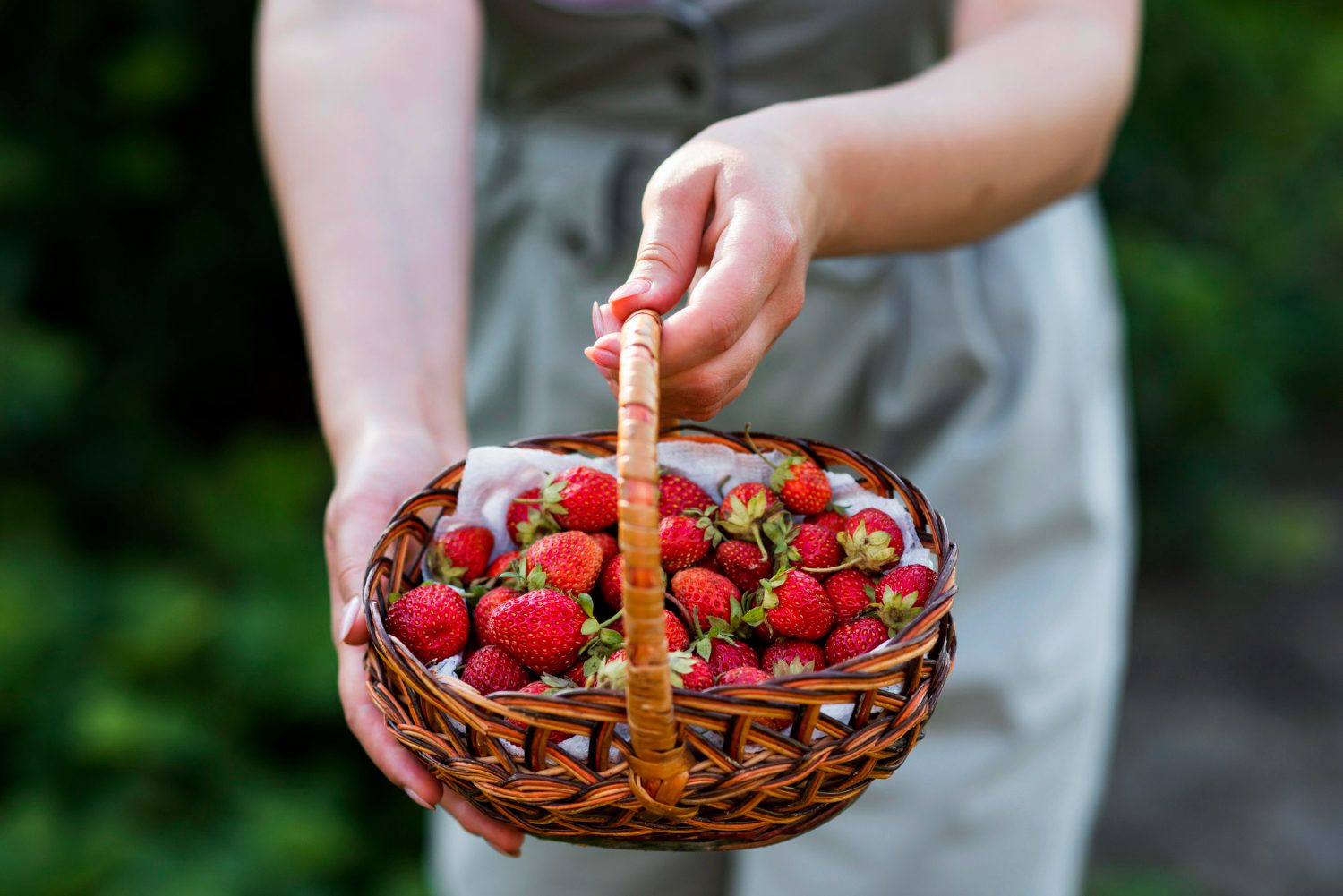 photo close-up hands holding strawberries basket photo close-up hands holding strawberries basket